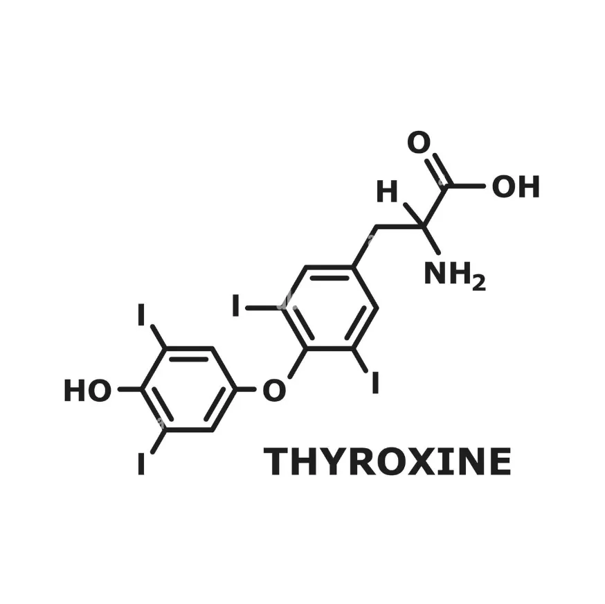 Thyroxine molecule structure showing its hexagonal rings